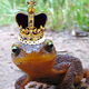 Image for article titled The Monster Queens Of England